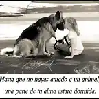 Perro y nia