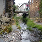 DSCN5695