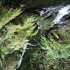 Mechn de la Xana - Faedo
