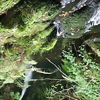 mechon-de-la-xana-_-faedo-cudillero