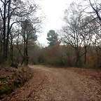DSCN3090