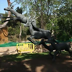 Zoo de Barcelona 12-04-11 157