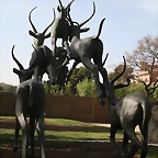 Zoo de Barcelona 12-04-11 158