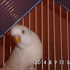 CIMG0527
