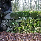 DSCN7213