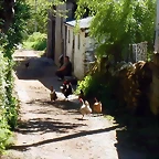 DSCN0017