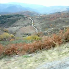 DSCN9516