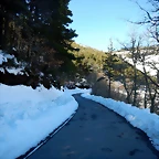 DSCN1811