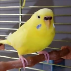 20190616_165445