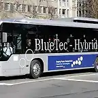 Dibujoautobblue