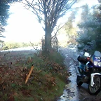 DSCN7480