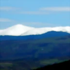 DSCN3997