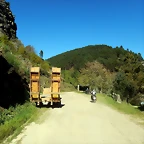 DSCN8973