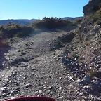 19-IMG_4229