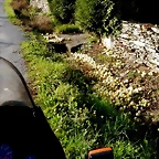 DSCN0515