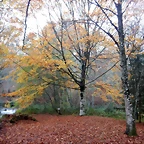 DSCN1807
