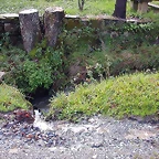 DSCN7306