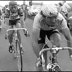 TOUR DE 1979-ETA-DE ROUBAIX-HINAULT