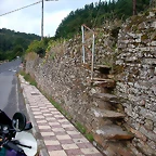 DSCN5393