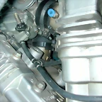 DSCN6405
