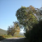 DSCN0060