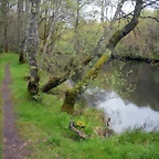 DSCN4156