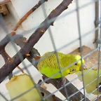 IMG_20180309_165924