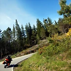DSCN1258