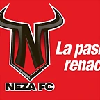 NEZA 1