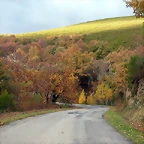 DSCN4909
