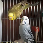 FB_IMG_1501665574105
