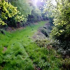 DSCN2099