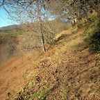 DSCN3009