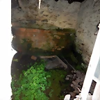 DSCN2438