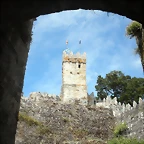 DSCN7578