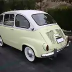 multipla (4)