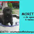 MORITA