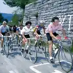 GIRO 1982,HINAULT,PRIM.PANIZZA,VANDI