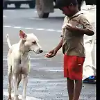 Solidaridad entre nio pobre y un perro