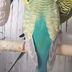 FB_IMG_1534062602921