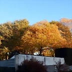 DSCN8968