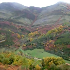 DSCN5992