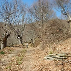 DSCN2630