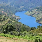 22-IMG_7272
