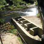DSCN6705