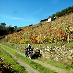 DSCN4496