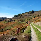 DSCN4497