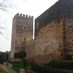 Bolaos 3