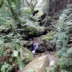 DSCN0909