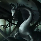 Dibujos-de-Dragones-9